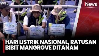 Peringati Hari Listrik Nasional, Ratusan Bibit Mangrove Ditanam di Pesisir | iNews Pagi 10/10