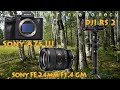 [4K] Sony A7s III and  Sony FE 24mm F1.4 GM  Стабилизатор DJI RS 2  Прогулка по лесным тропам..