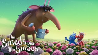 Are the Smeds and the Smoos in Danger? @GruffaloWorld: Compilation
