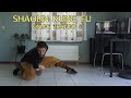 Shaolin Kung Fu - Online Training #5 - Full lenght Training