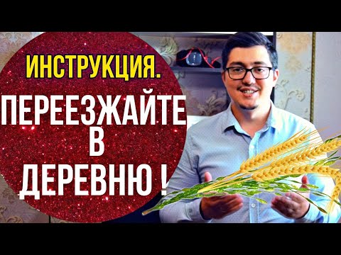 КАК ВЫБРАТЬ ДОМ в деревне. Инструкция и наш опыт.