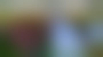 How To Download Natura Mod 1.12.2/1.11.2 & Install for Minecraft