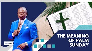 THE MEANING OF PALM SUNDAY by Prophet Shepherd Bushiri 7,915 views 2 weeks ago 29 minutes