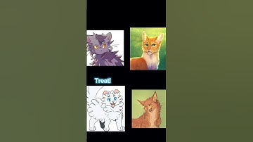 Cloudpaw can’t spell #meme #clean￼ #cat #warriorcats