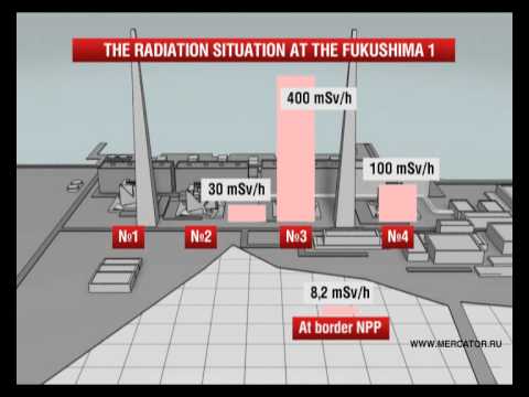 The Danger Of Radiation In Japan