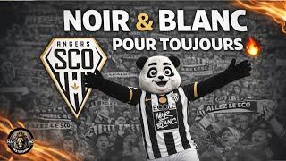 🔥 Frissons à Raymond-Kopa : cet hymne des supporters d’Angers SCO