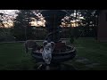 Sassy the cats enjoying her evening. Dark fountain. 