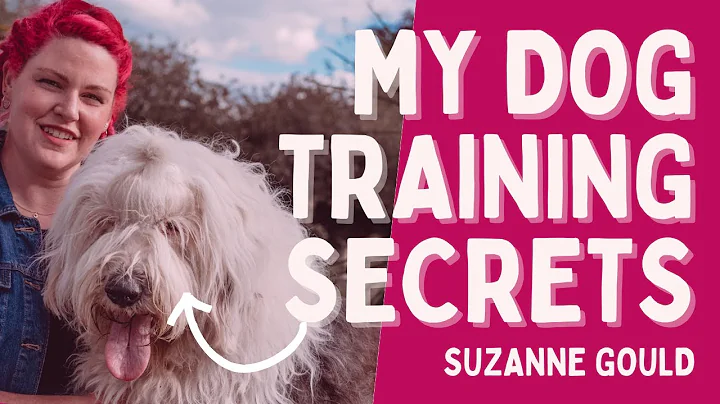 Dog Trainer Edinburgh Recall and Walking to Heel T...