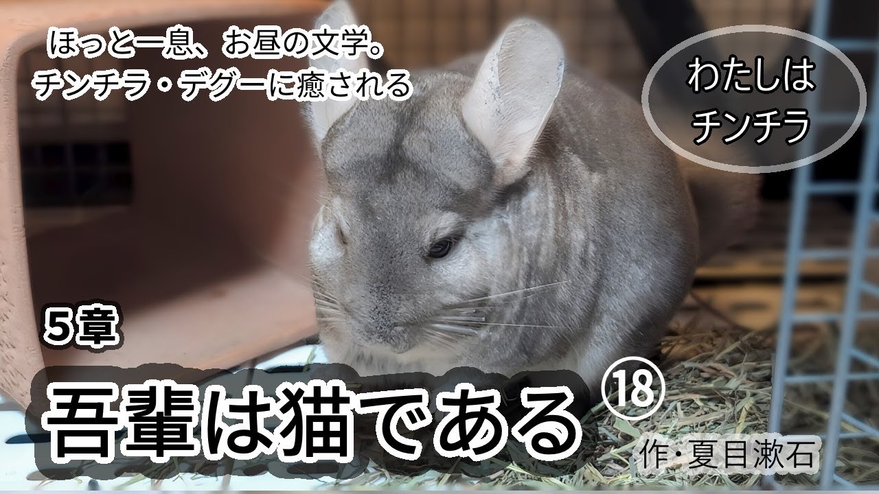 Relaxing with lunchtime literature. Enjoying 