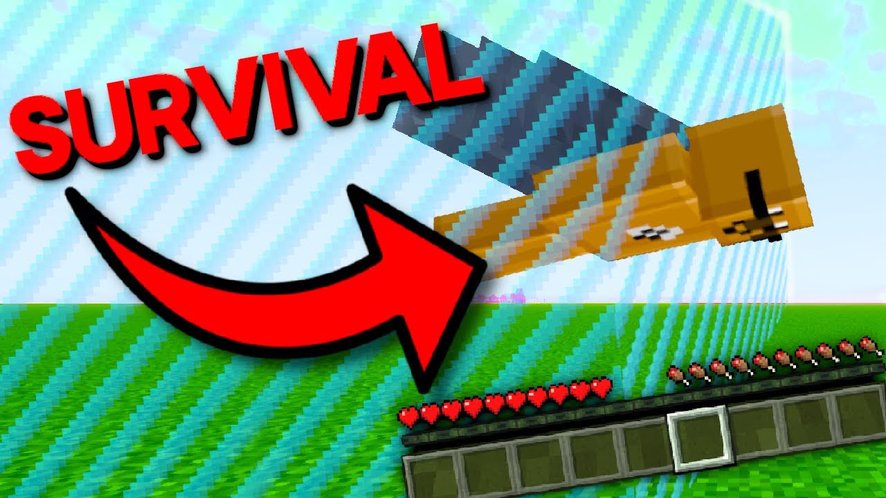 How far can you go beyond the world border in survival? 📦 YouTube
