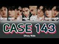 CASE 143 - Stray Kids 【パート分け/日本語字幕/歌詞/和訳/カナルビ】