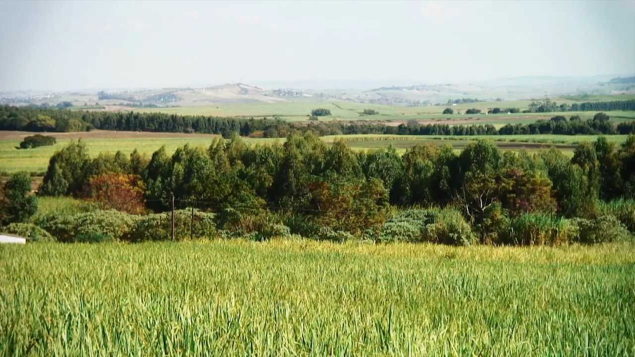 Varsity College Multisport Series presented by Best 4 Healthcare - Event #1 : Action