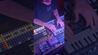 Arturia and Polyend Play+ work so well together. #diymusic #synth #synthdiy #dawless