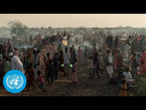 Un news in brief (21 december 2023) | united nations
