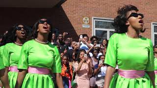 Spring 2018 AKA Probate Alpha Chapter