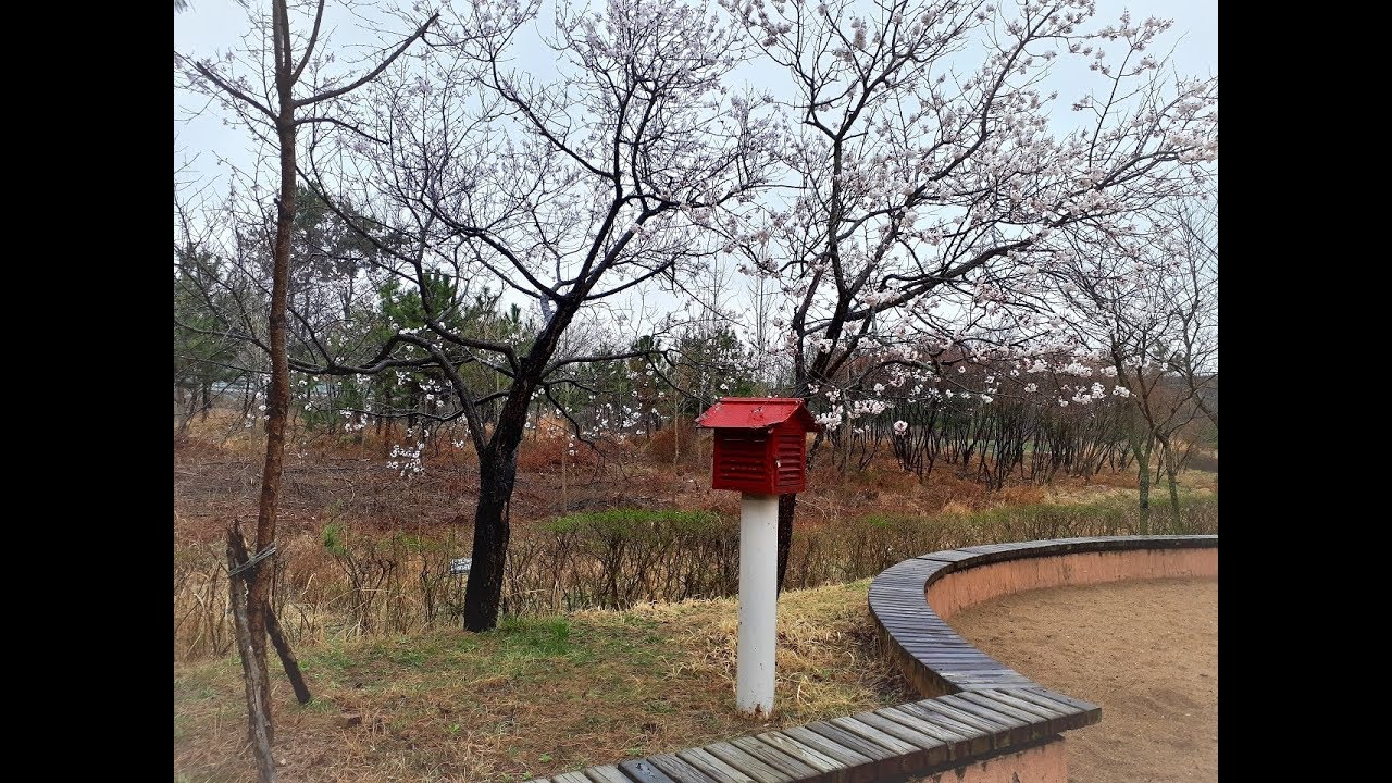 raindrop chopin piano raindrop chopin piano