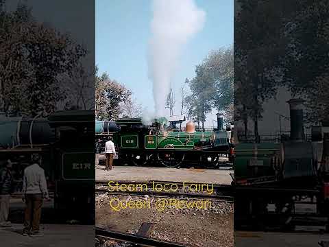 Video: India's Steam Express (Fairy Queen)-trein: reisgids
