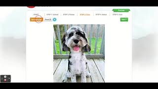 Tutorial on Grid Drawing Tool by ArtTutor screenshot 2
