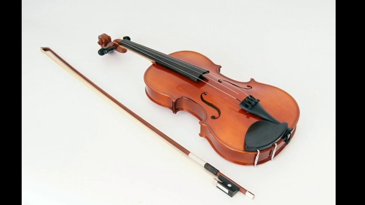 Скрипка струнно смычковый инструмент. Strunal 16w-4/4. Strunal 16w-3/4. Струнал скрипка 4/4. Strunal b16-1/8.