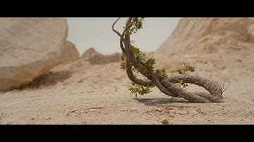 Tree Growth blender 2.8 - Tutorial