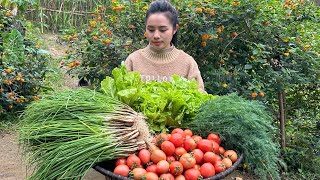 Harvesting dill, lettuce, green onions, and tomatoes to sell at the market  Cooking