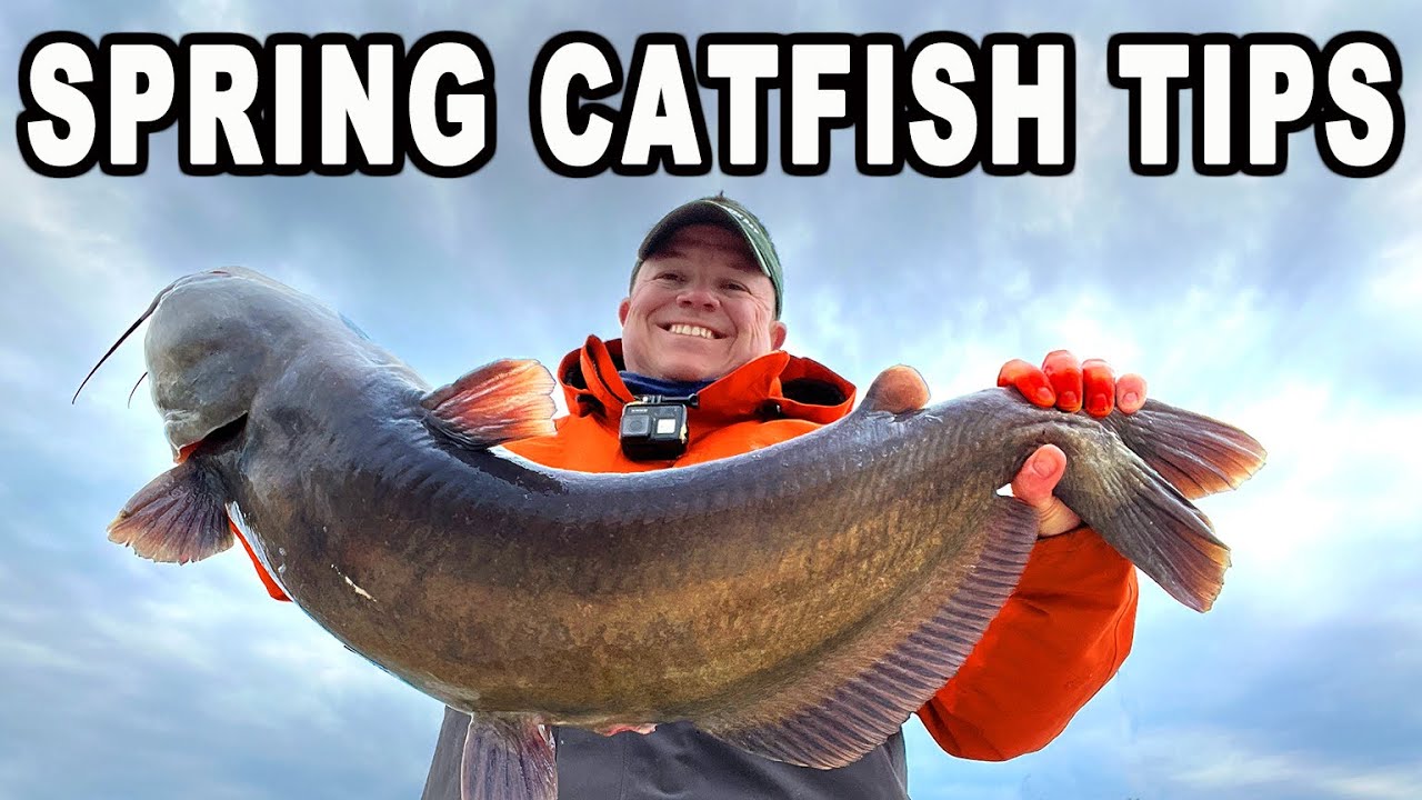 Important Tips for Spring Catfish 