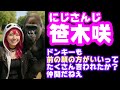 笹木咲 前の顔のほうがいい と言われてることを早速ネタにする ガワ しゃしゃ パセリ にじさんじ えにから ANYCOLOR エニカラ VTuber 笹木咲 前の顔のほうがいい と言われてることを早速ネタにする ガワ しゃしゃ パセリ にじさんじ えにから ANYCOLOR エニカラ VTuber