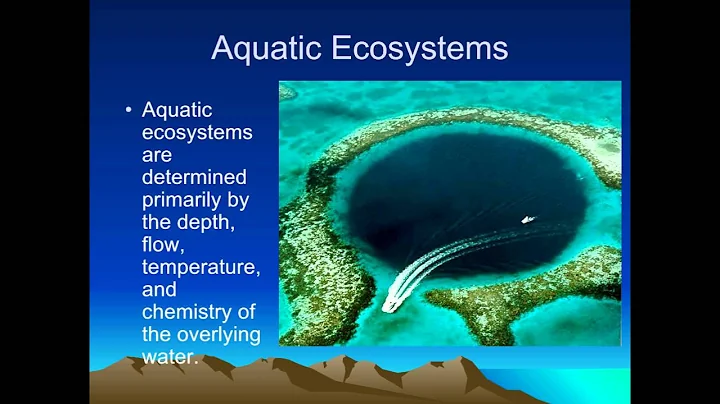 Limiting Nutrients / Freshwater Ecosystems