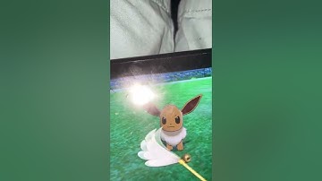 How to Evolve Eevee into Sylveon! Pokémon Sword and Shield