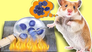 Hamster Chef Cooking Mini Pancake Flowers Flavors by GV Mister Hamster 3,634 views 3 years ago 3 minutes, 1 second