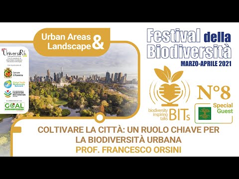 Video: Biodiversità Sulla Città