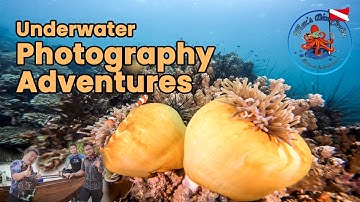 Underwater Photography Adventures Part 1