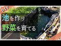 【池作り DIY】さかなで野菜を育てる水耕栽培（アクアポニックス）を作る 〜ビオトープ編〜