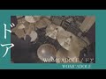 ドア / WOMCADOLE 叩いてみた 【再録版】