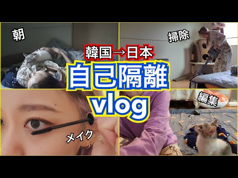 【日本】韓国から帰国してからの自己隔離生活vlog！【ちょいモッパン】