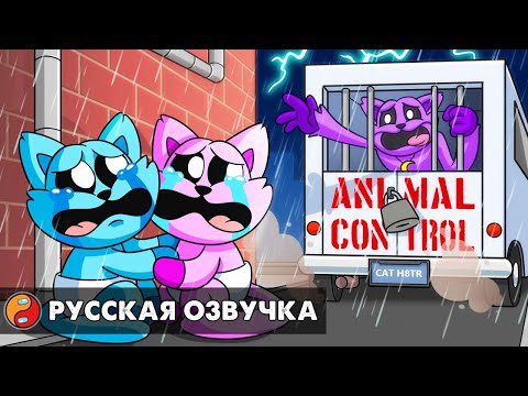 Видео: КЭТНАПА СХВАТИЛИ?! Реакция на Poppy Playtime 3 анимацию на русском языке