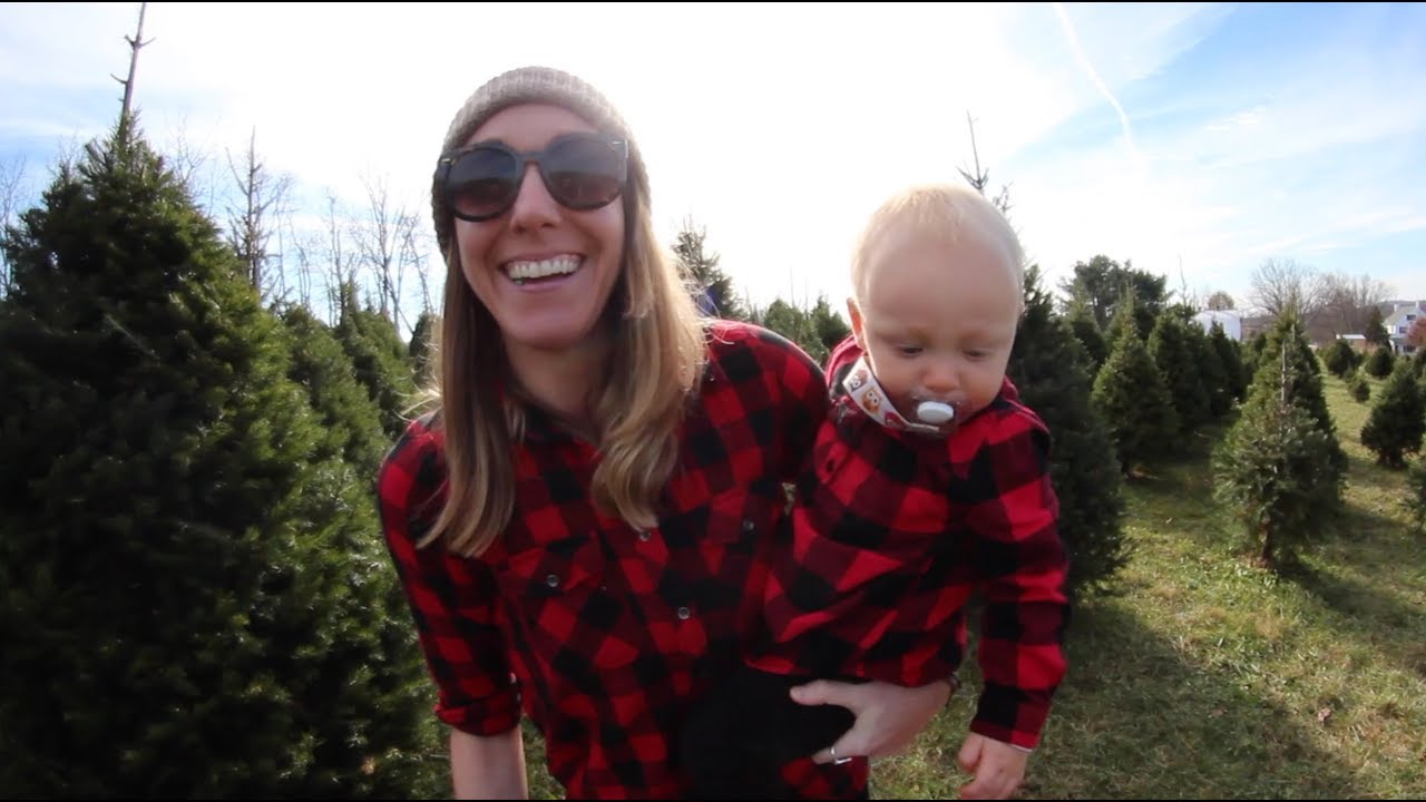 Getting Our Christmas Tree - YouTube