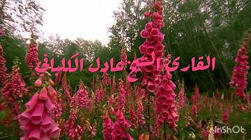 ما تيسر من سورة الزمر «تراويح »«ويوم القيامة ترى الذين كذبوا على الله وجوههم مسودة»