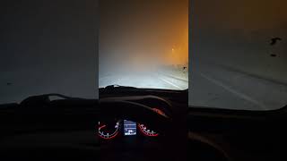 Which One Is Better In Fog Ledhalogen Bulb