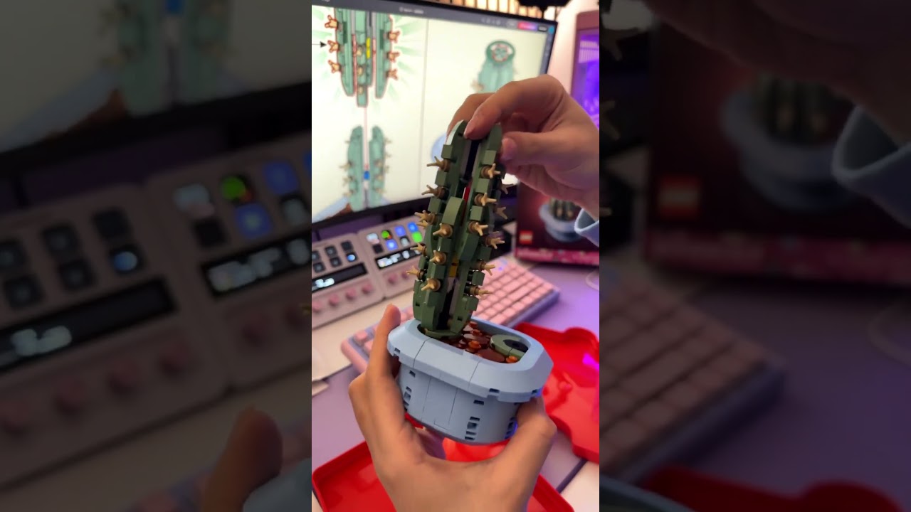 Обновление о моей жизни… 