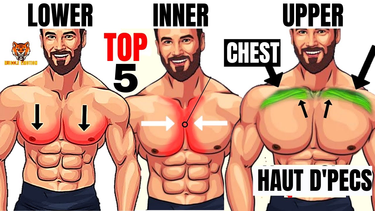 TOP 5  INNER LOWER AND UPPER CHEST WORKOUT  AT GYM  Meilleurs exs Musculation poitrine 