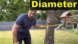 How To Measure Diameter Of A Tree-Easy Tutorial