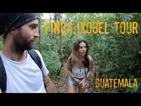 Video: Portret In Poptun, Guatemala [postkaart] - Matador Network
