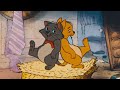 Aristocats Berlioz And Toulouse Cutest Moments Aristocats Berlioz And Toulouse Cutest Moments