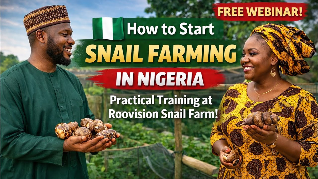 LEARN HOW TO START A SUCCESSFUL SNAIL FARM ⁠ ⁠ @roovisionsnailfarm ...