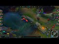 LES BONOBOS JUNGLER EN GOLD