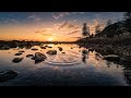 Swamp sounds at night with rain  gentle river stream sound  kdekay  river flowing sound