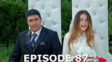 Sardar Drama Season 5 Episode 87 ددري مورچل برخه / Da Dare Morchal/ Sungurler/ #saeedtvinpashto