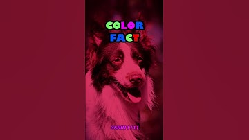 Thumbnail of New type of color blindness. Or maybe not-so-new.