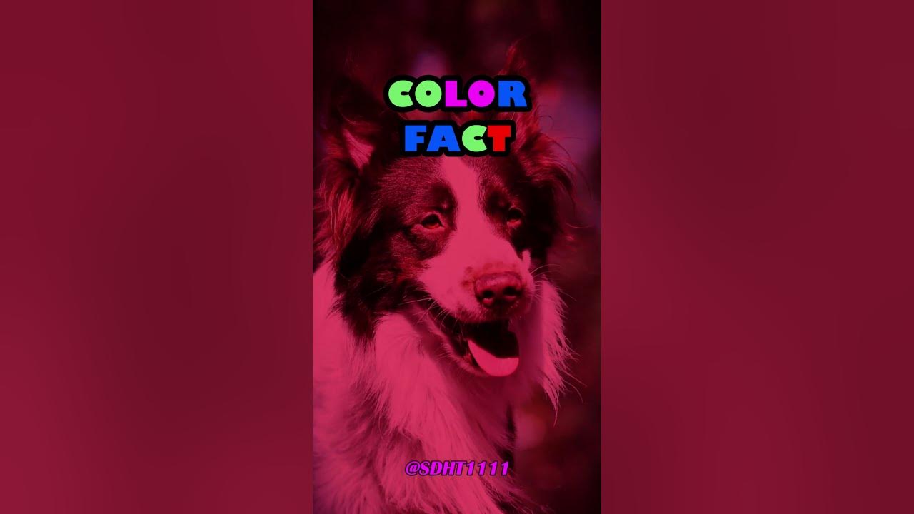 New type of color blindness. Or maybe not-so-new.